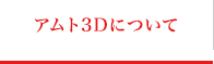 アムト3Dについて